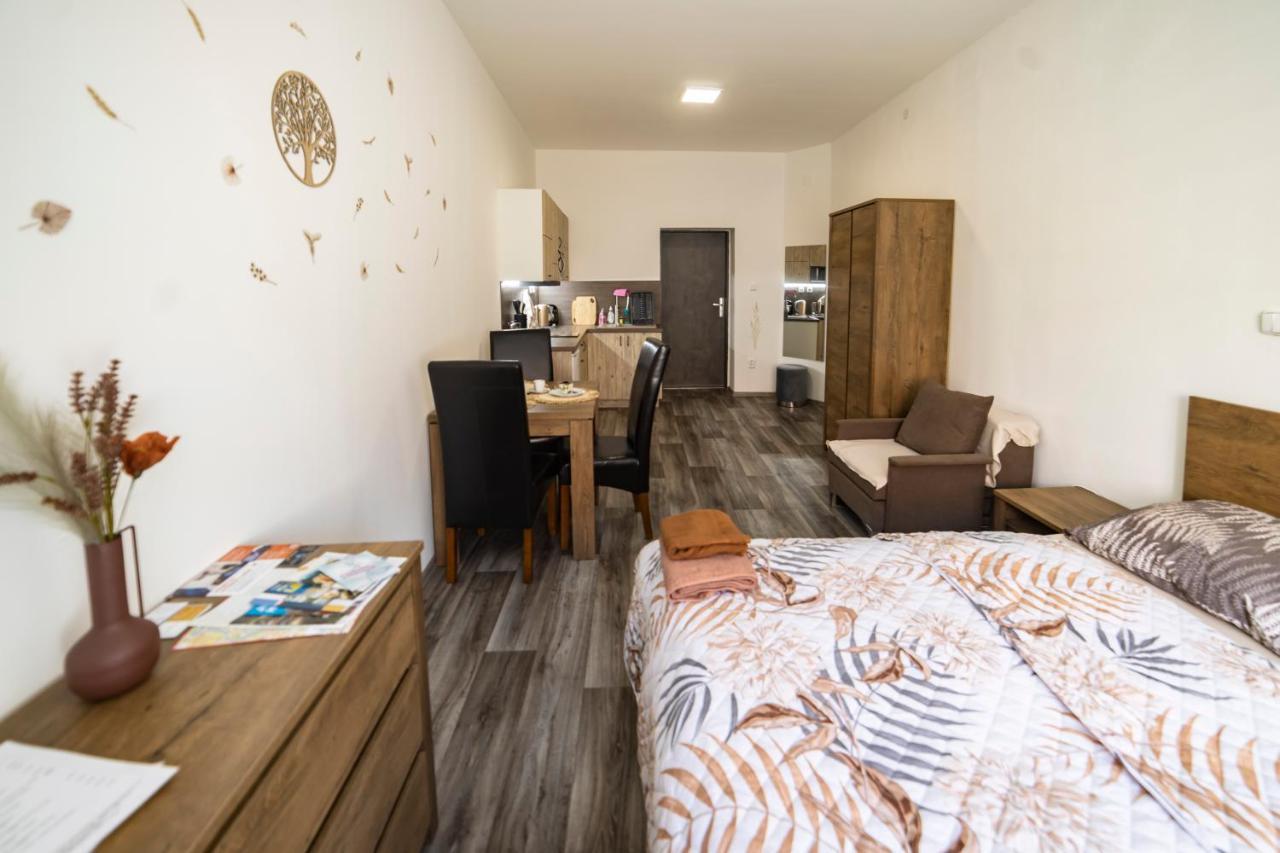 Apartmany Nezarka A Privatni Wellness Jindřichův Hradec Buitenkant foto