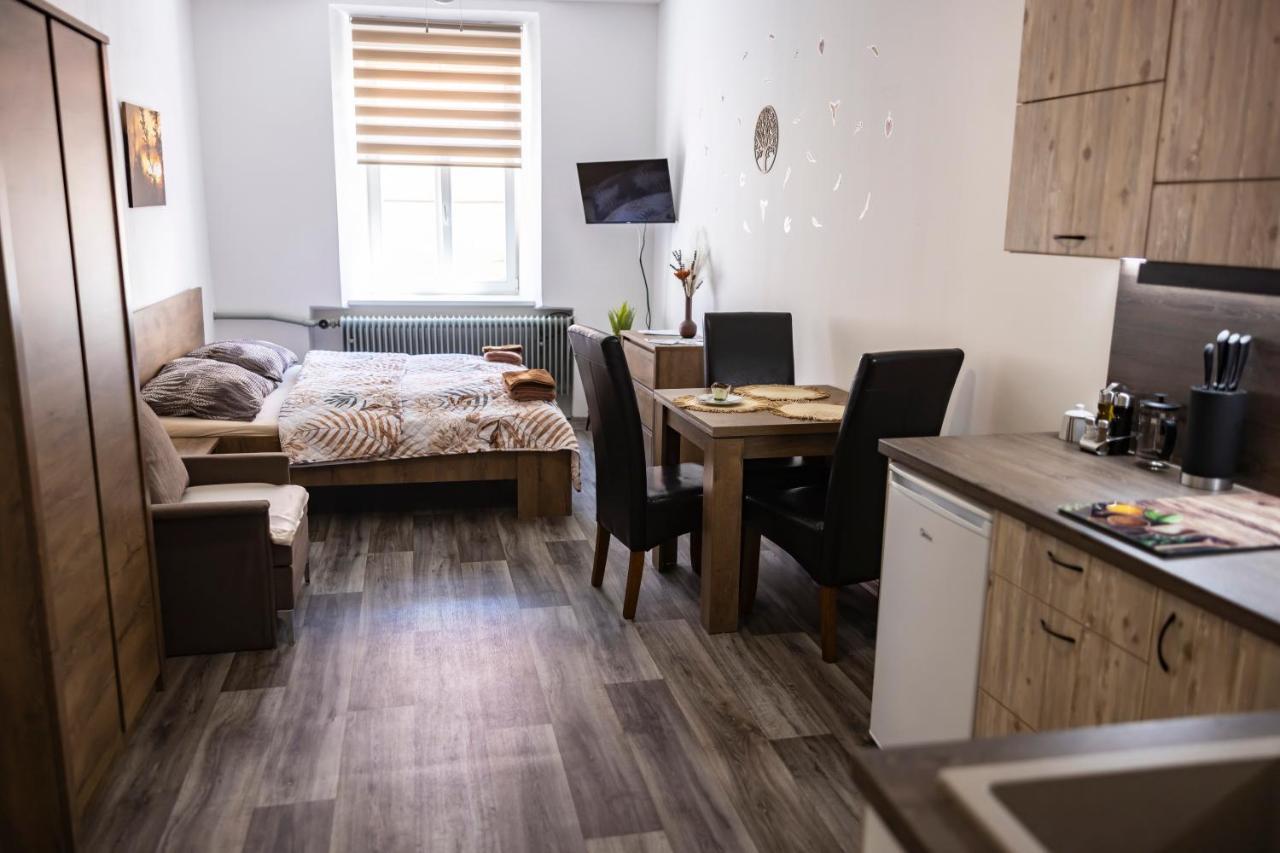 Apartmany Nezarka A Privatni Wellness Jindřichův Hradec Buitenkant foto