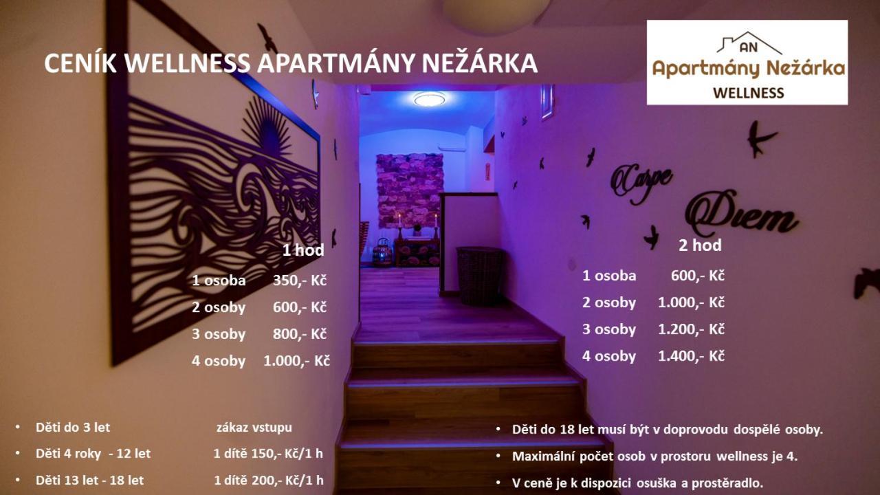 Apartmany Nezarka A Privatni Wellness Jindřichův Hradec Buitenkant foto